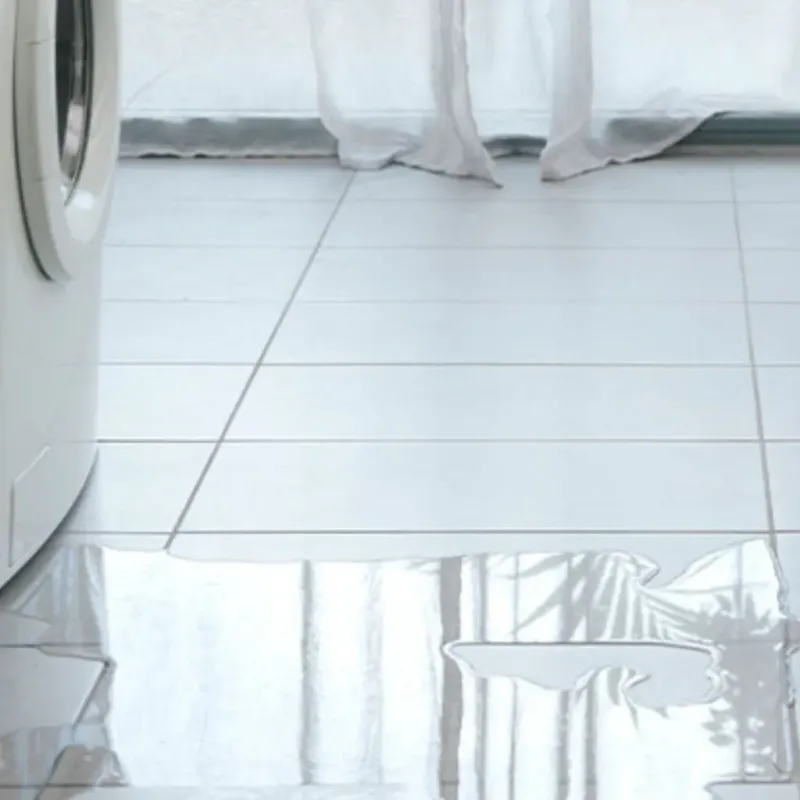 Appliance Leak Cleanup in Garden City, MI