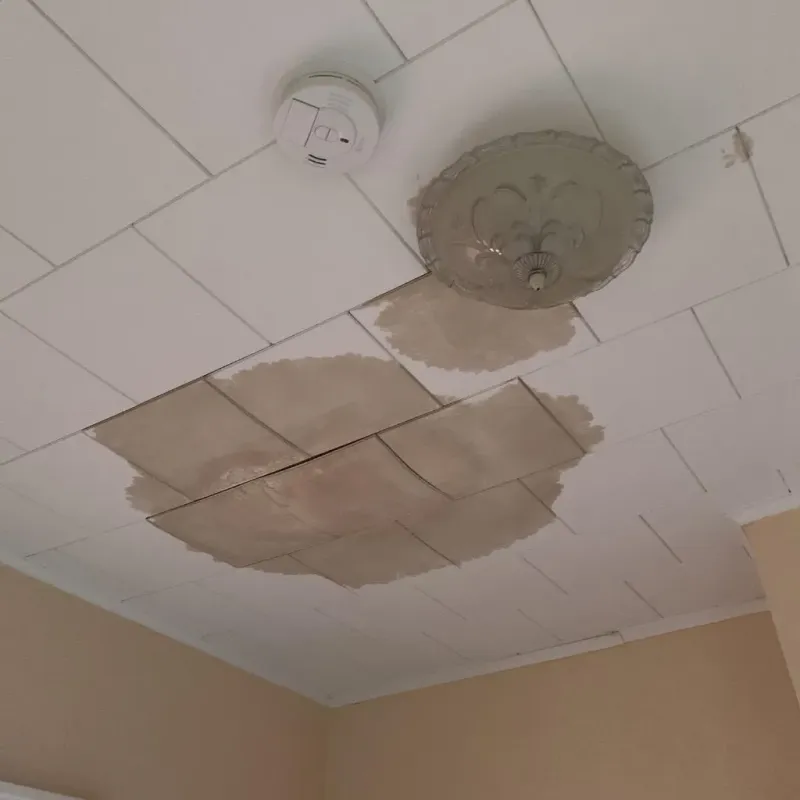 Ceiling Water Damage Repair in Garden City, MI