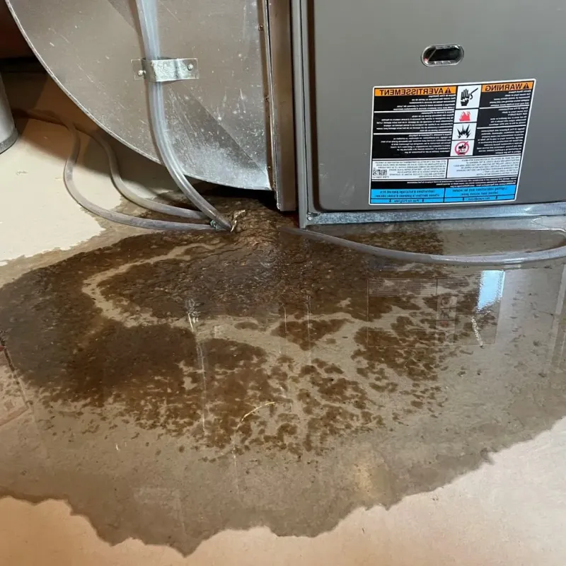 Pipe Burst and Leak Restoration in Garden City, MI