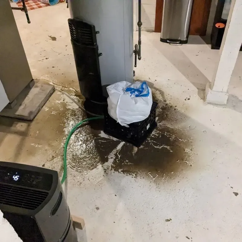 Sewage Backup Cleanup Service in Garden City, MI